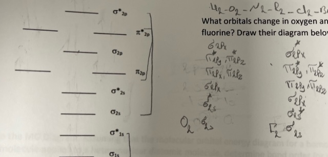 H2−O2−N2−l2−Cl2−B What orbitals change in oxygen an | Chegg.com