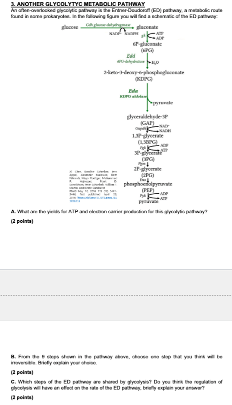 Solved ATP 3. ANOTHER GLYCOLYTYC METABOLIC PATHWAY An often