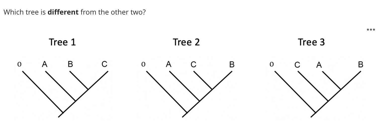 Solved Which tree is different from the other two? Tree 1 | Chegg.com