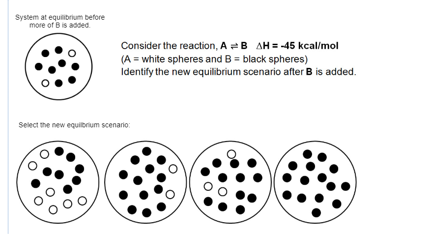 Solved System at equilibrium before more of B is added | Chegg.com