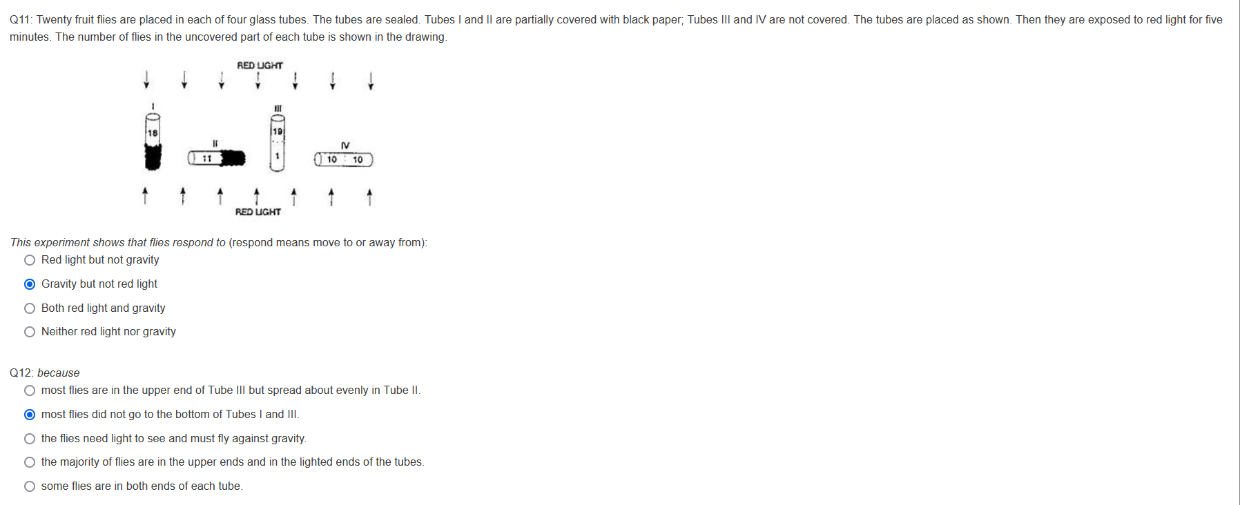 Solved minutes. The number of flies in the uncovered part of