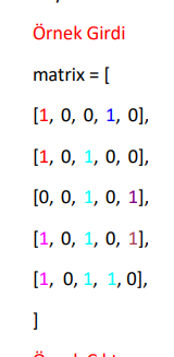 Örnek Girdi
matrix = 1
(1, 0, 0, 1, 0],
(1, 0, 1, 0, 0],
[0, 0, 1, 0, 1),
(1, 0, 1, 0, 1),
(1, 0, 1, 1,0],
]