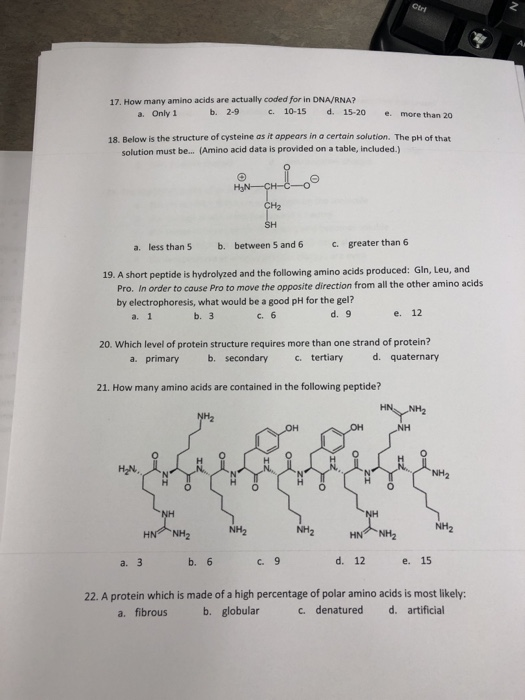 Solved 17. How many amino acids are actually coded for in | Chegg.com