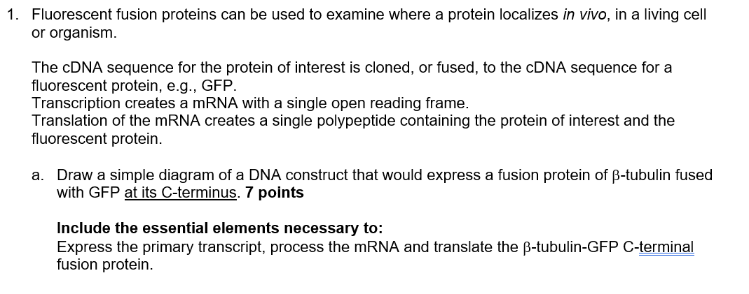 Solved Fluorescent fusion proteins can be used to examine | Chegg.com