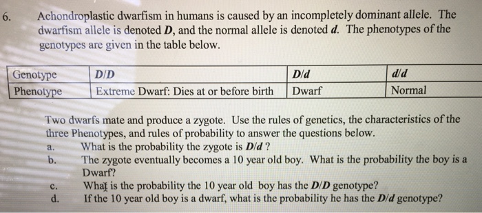 Solved Achondroplastic Dwarfism In Humans Is Caused By An