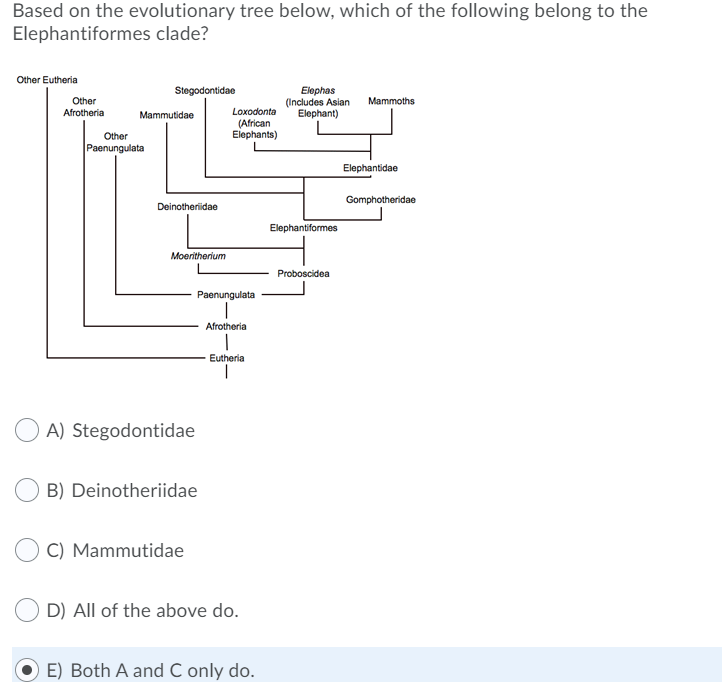 Solved Based On The Evolutionary Tree Below, Which Of The | Chegg.com