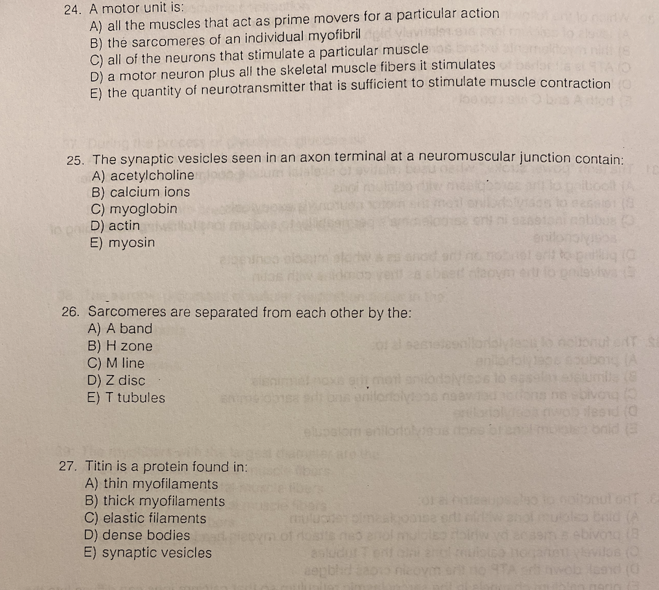 solved-24-a-motor-unit-is-a-all-the-muscles-that-act-as-chegg