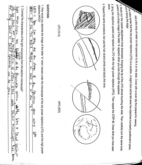 Solved B. MICROSCOPE MANIPULATION 1. After familiarizing