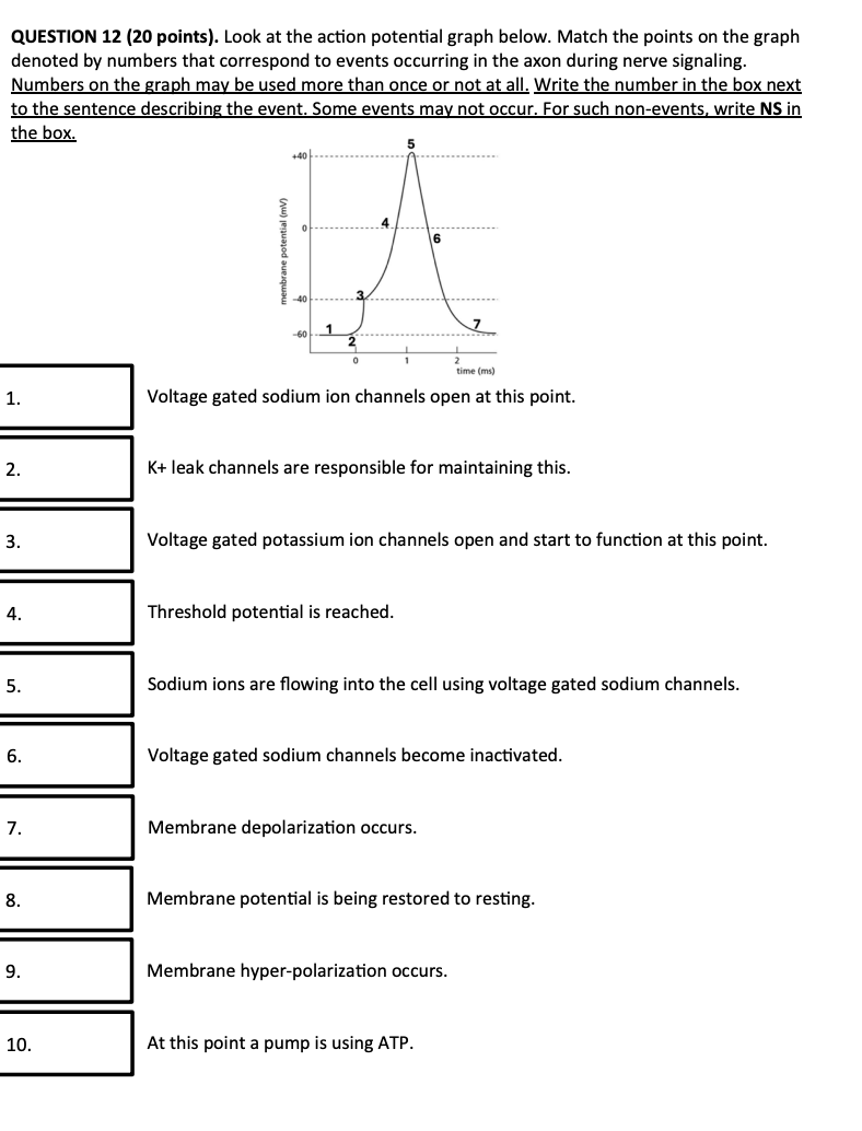 Solved QUESTION 12 (20 ﻿points). ﻿Look at the action | Chegg.com