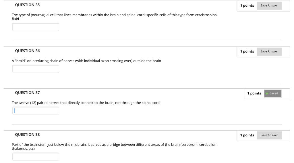 QUESTION 35 1 points Save Answer The type of (neuro)glial cell that lines membranes within the brain and spinal cord; specifi