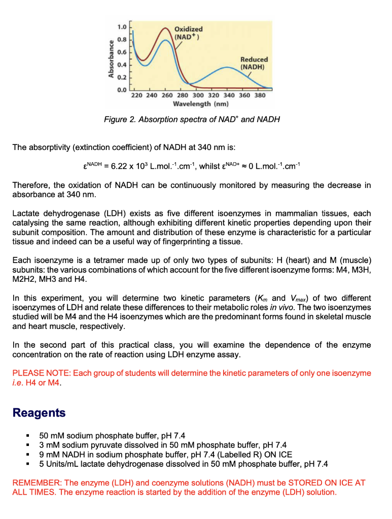 Prac 4 parameters of Lactate dehydrogenase