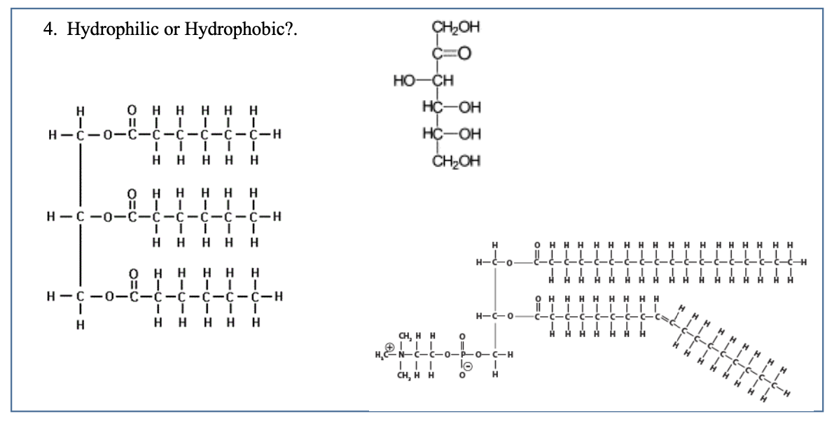 Solved 3. Carbohydrate, Lipid, Protein or Nucleic Acid?