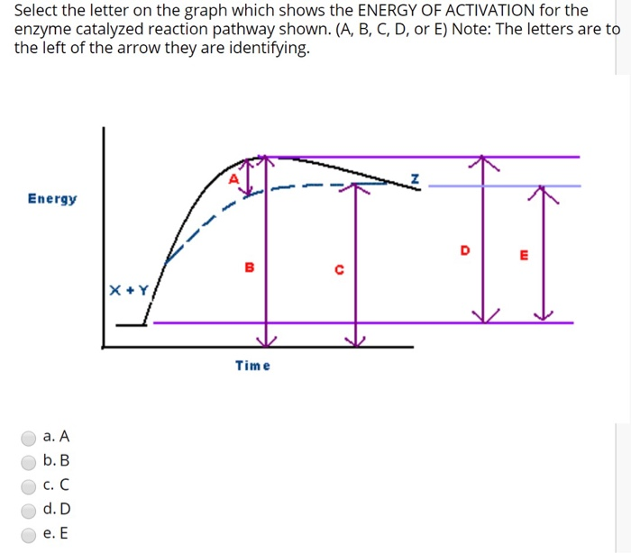 Solved Select the letter on the graph which shows the ENERGY