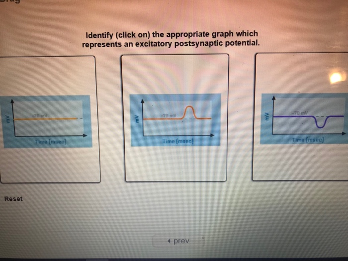 Graph Which Represents an Excitatory Postsynaptic Potential