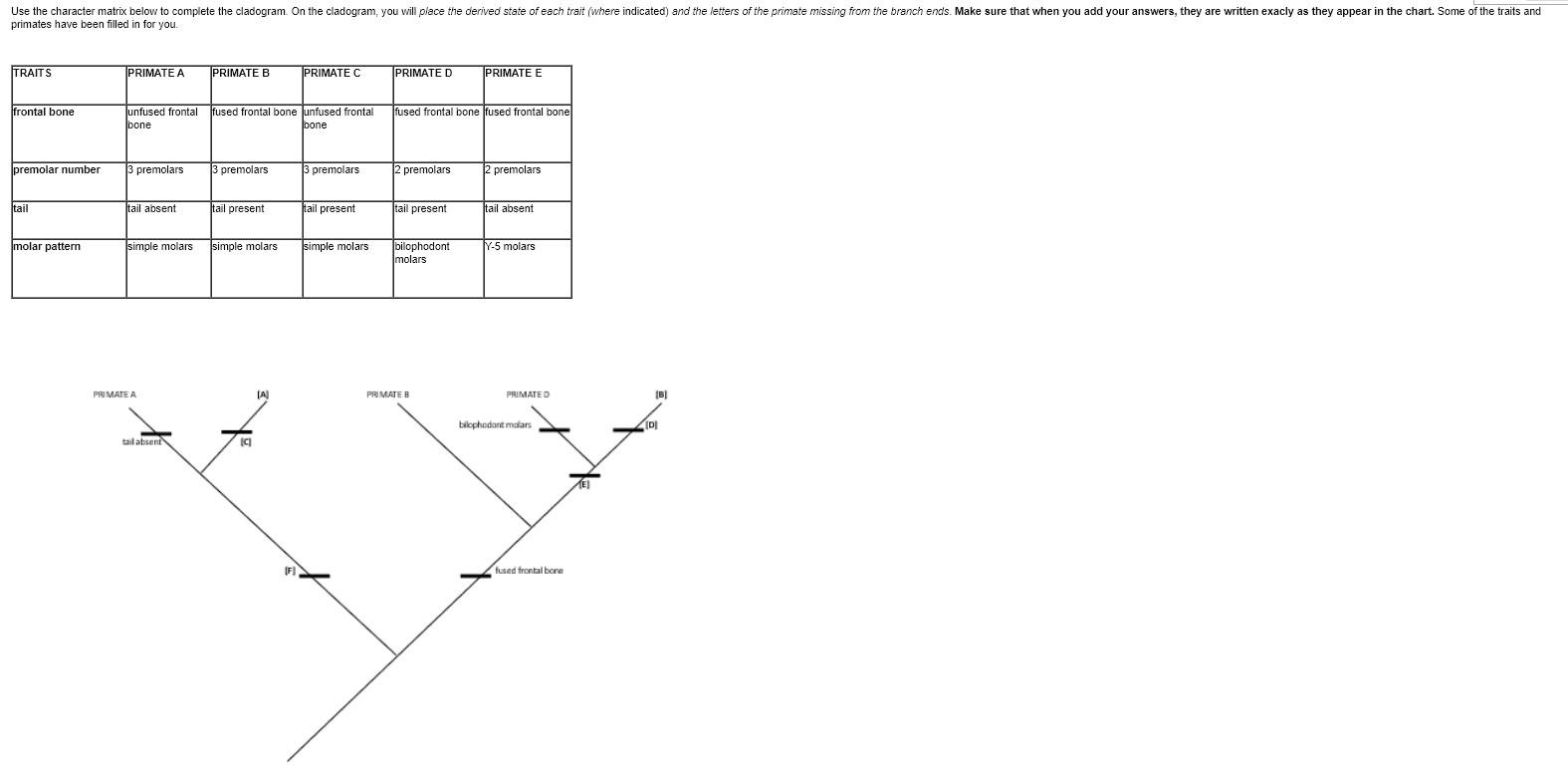 Use the character matrix below to complete the | Chegg.com