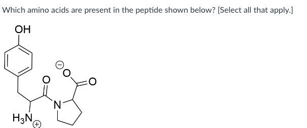 Solved Which amino acids are present in the peptide shown | Chegg.com