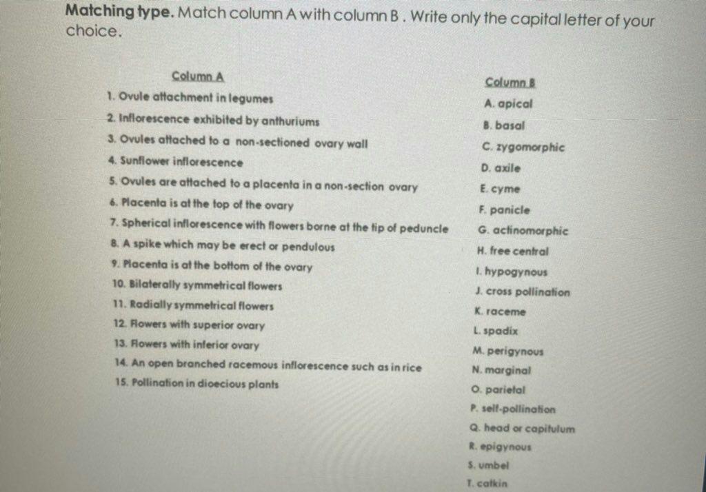 Solved Matching Type. Match Column A With Column B. Write | Chegg.com