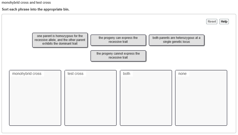 solved-monohybrid-cross-and-test-cross-sort-each-phrase-into-chegg