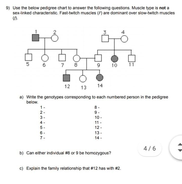 Solved 9) Use the below pedigree chart to answer the | Chegg.com