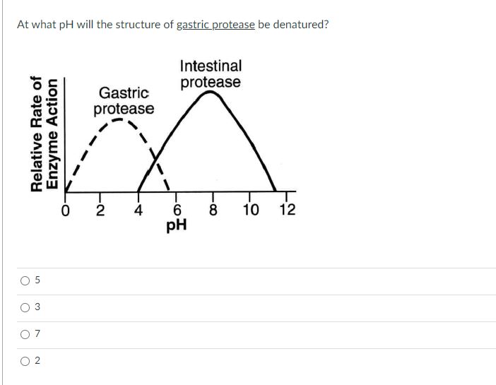 Solved At what pH will the structure of gastric protease be | Chegg.com