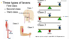 examples of class levers 1 2 and 3