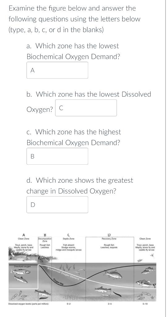 Solved Examine the figure below and answer the following | Chegg.com