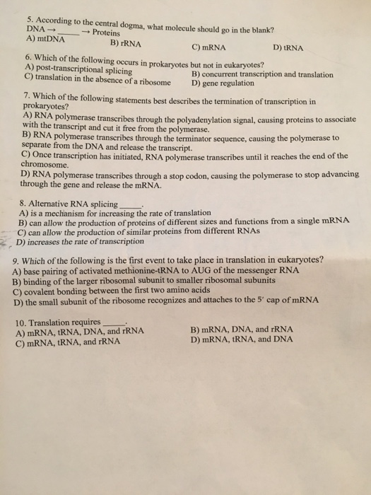 Solved 5. According to the central dogma, what molecule | Chegg.com