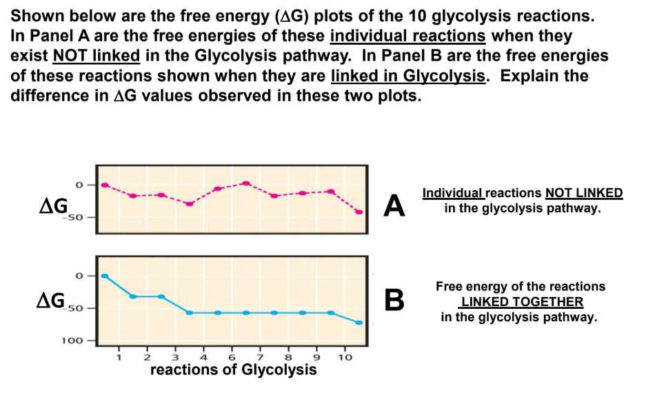 Solved Shown in PDF Figure 17 are the free energy (AG) plots | Chegg.com