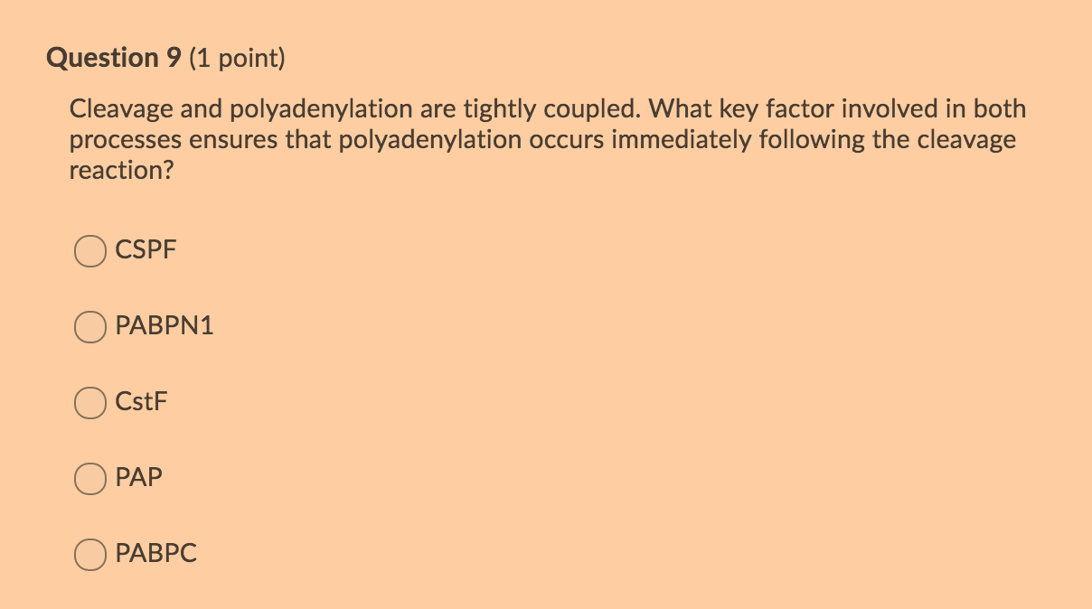 Solved Question 9 (1 point) Cleavage and polyadenylation are | Chegg.com