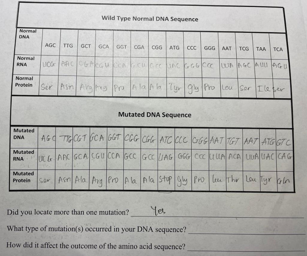 Solved What amino acid does UAC code for? Tyr CAG? Glr AGG?