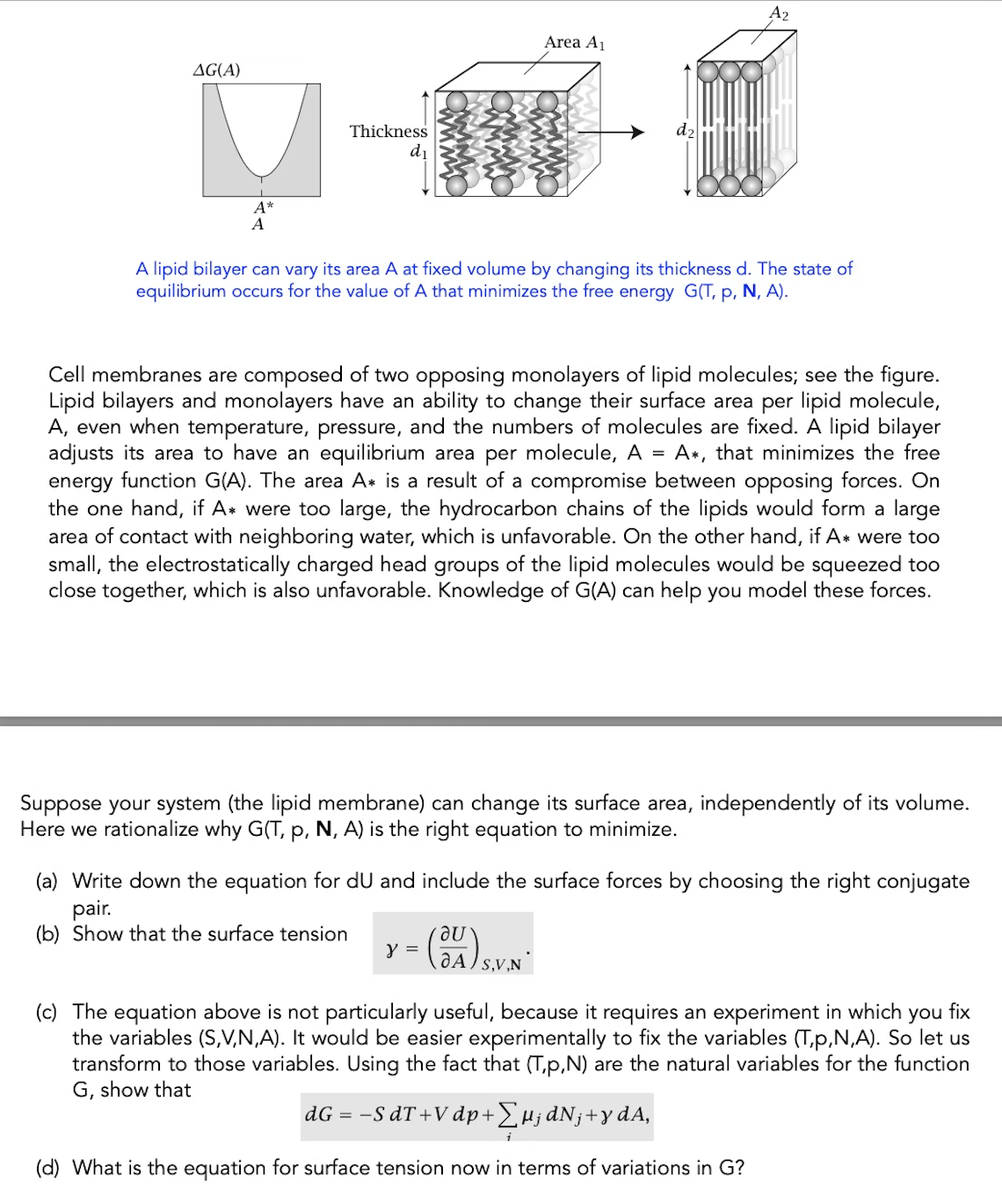 Solved A lipid bilayer can vary its area A ﻿at fixed volume | Chegg.com