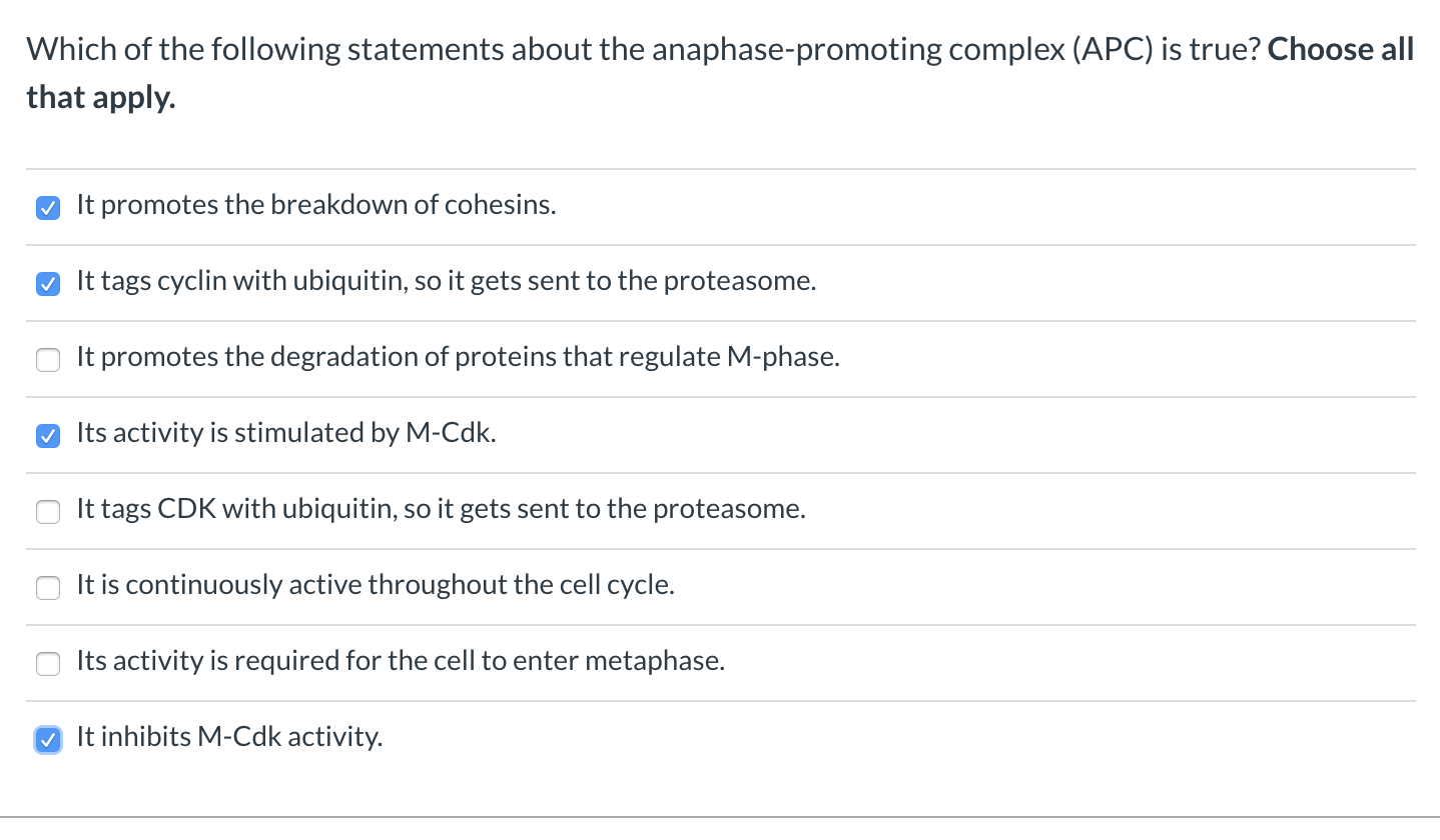 parship profile search