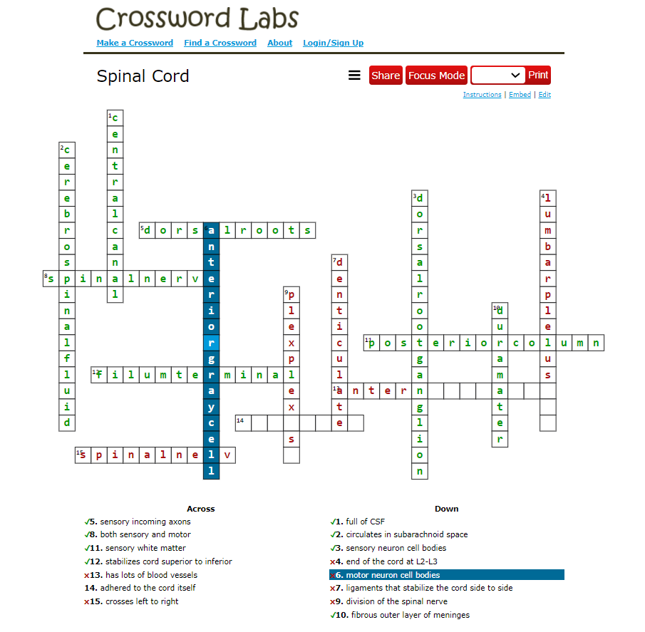 Solved Crossword Labs Make a Crossword Find a Crossword Chegg com