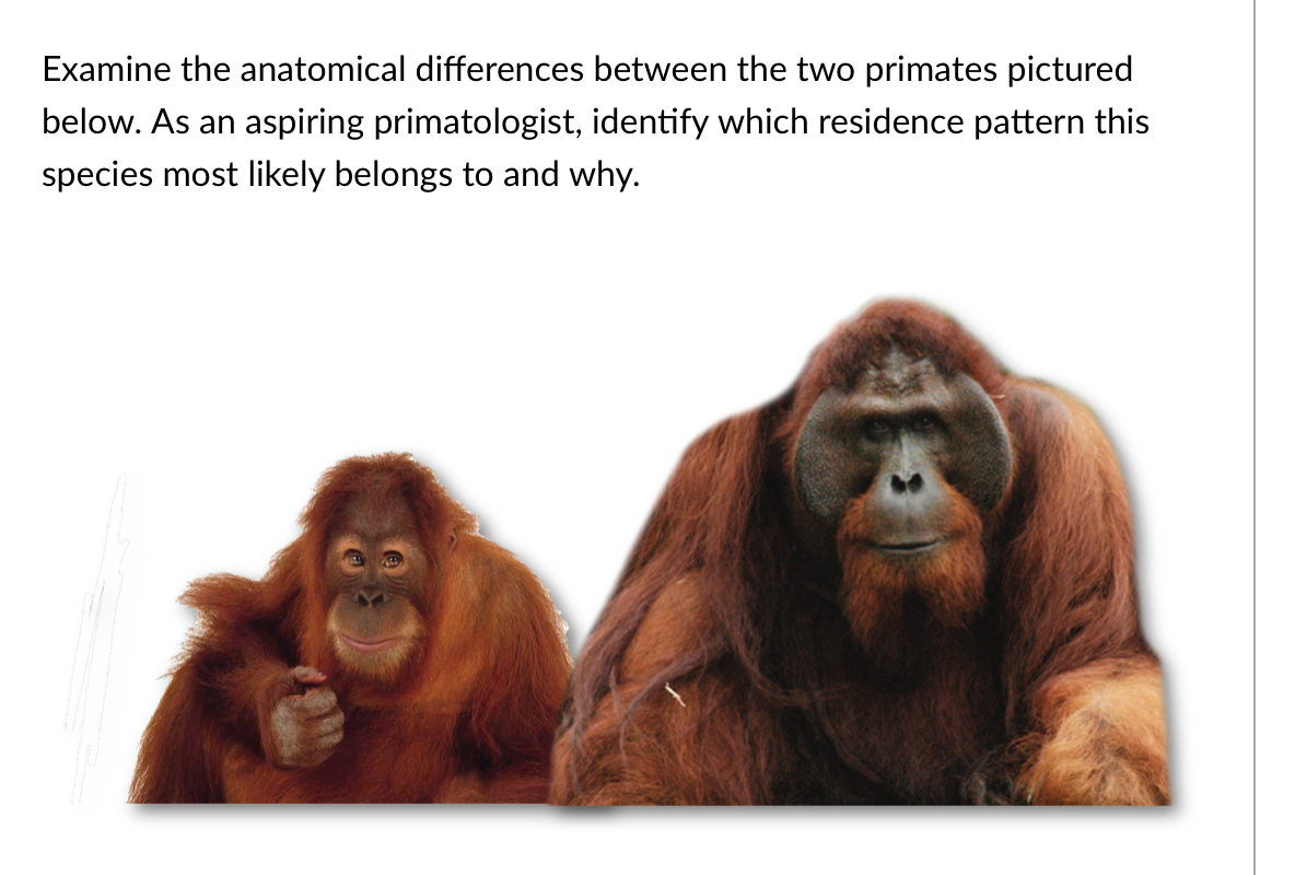 Solved Examine the anatomical differences between the two | Chegg.com