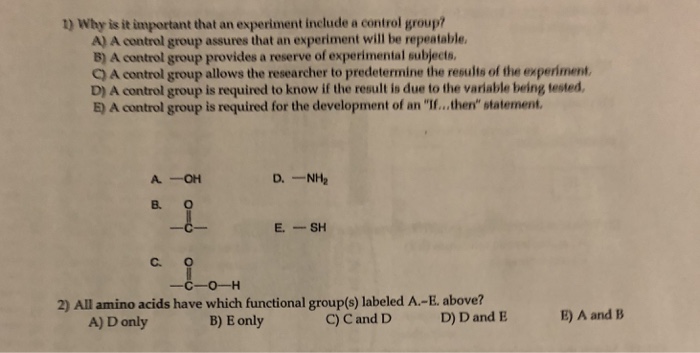 control group experiment importance