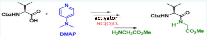 Solved 6.2 Indicate what role DMAP plays in the | Chegg.com