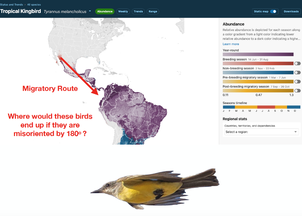 Solved Abundance Relative abundance is depicted for each | Chegg.com