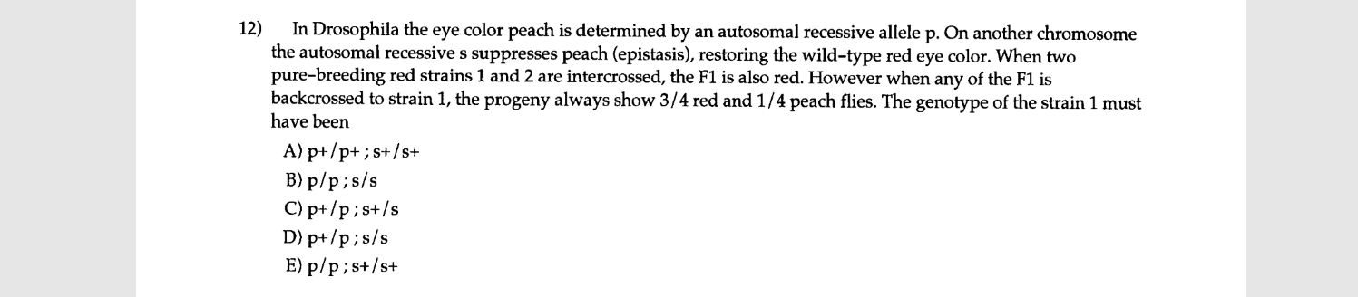 Solved I know the answer is B but can someone explain why? | Chegg.com