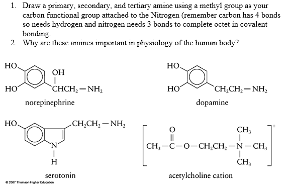 Solved 1. Draw A Primary, Secondary, And Tertiary Amine | Chegg.com