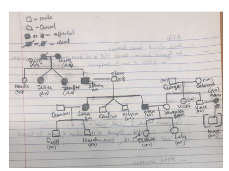 Solved B. DNA Microarray ResultsIn this section, you should | Chegg.com