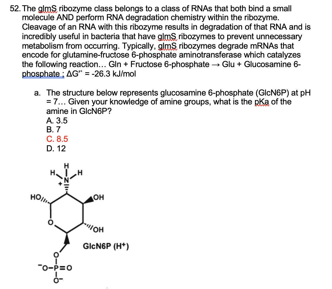 Solved 52. The glmS ribozyme class belongs to a class of | Chegg.com