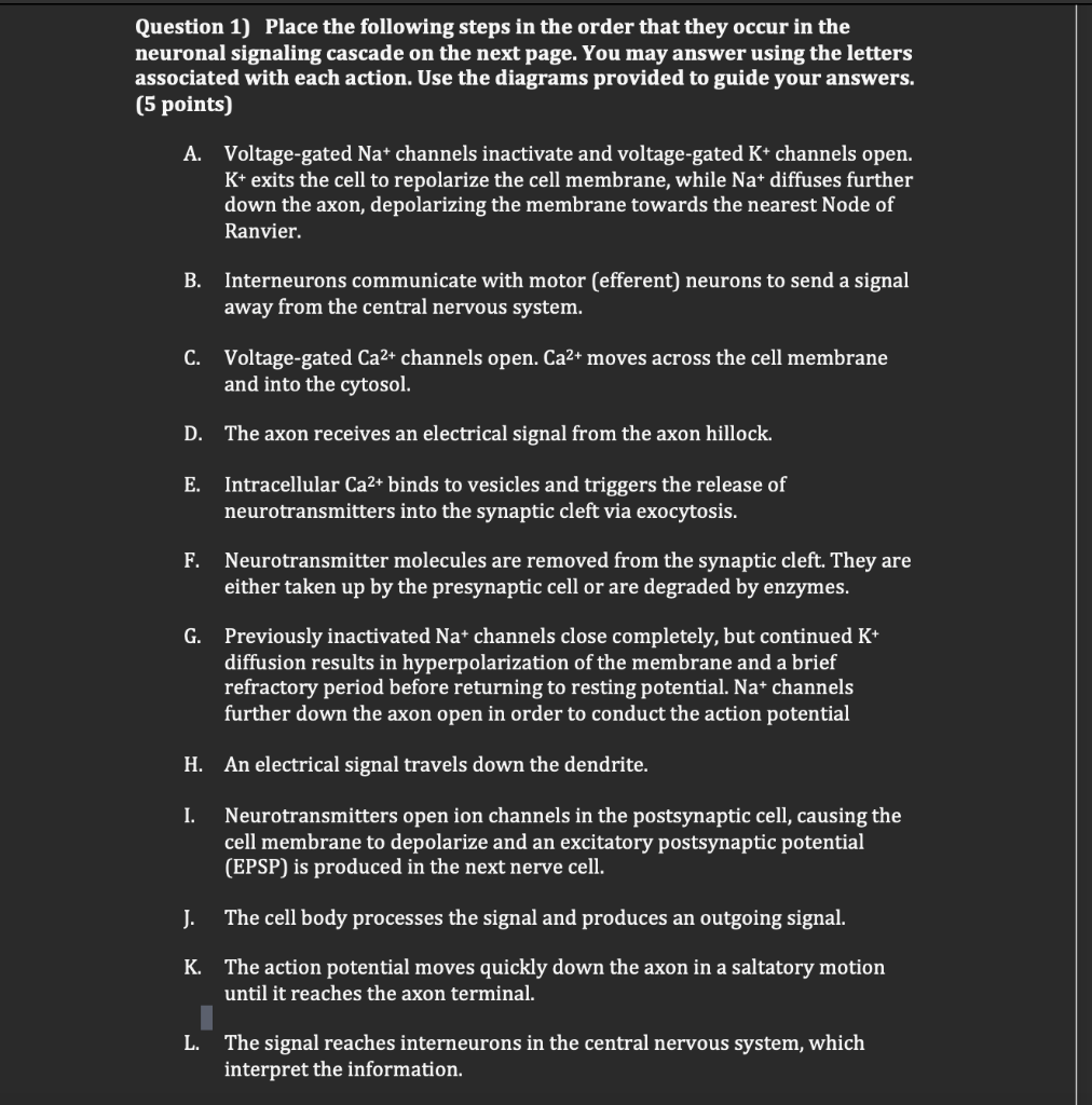 Solved Question 1) Place the following steps in the order | Chegg.com