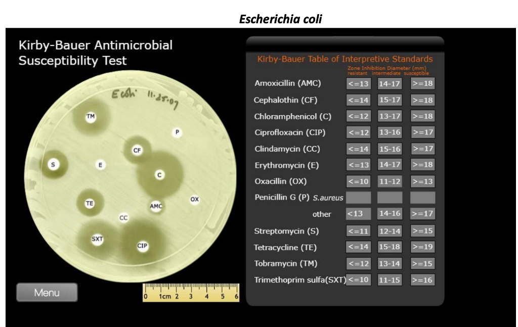 Solved 1 Use the ruler in the pictures on the next page to