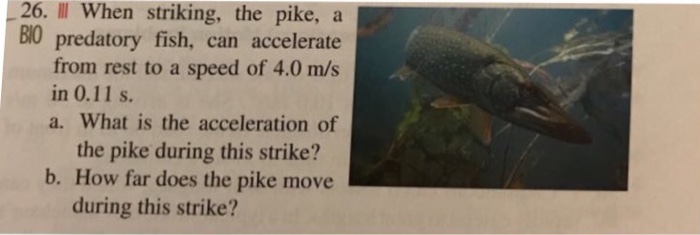 Solved When striking, the pike, a predatory fish, can | Chegg.com