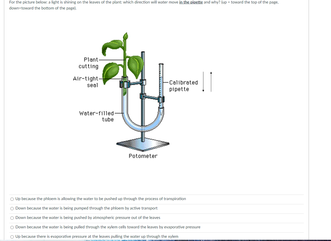 Solved For the picture below: a light is shining on the | Chegg.com