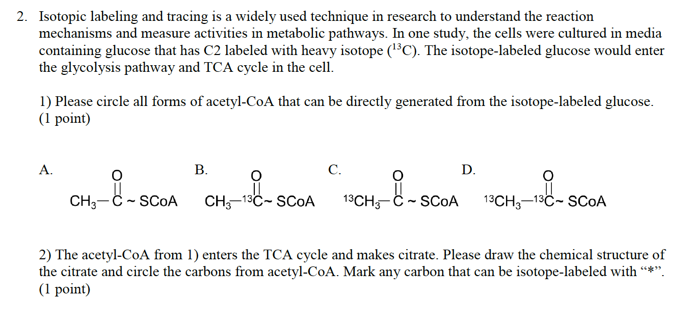 Solved C- 2. Isotopic labeling and tracing is a widely used | Chegg.com