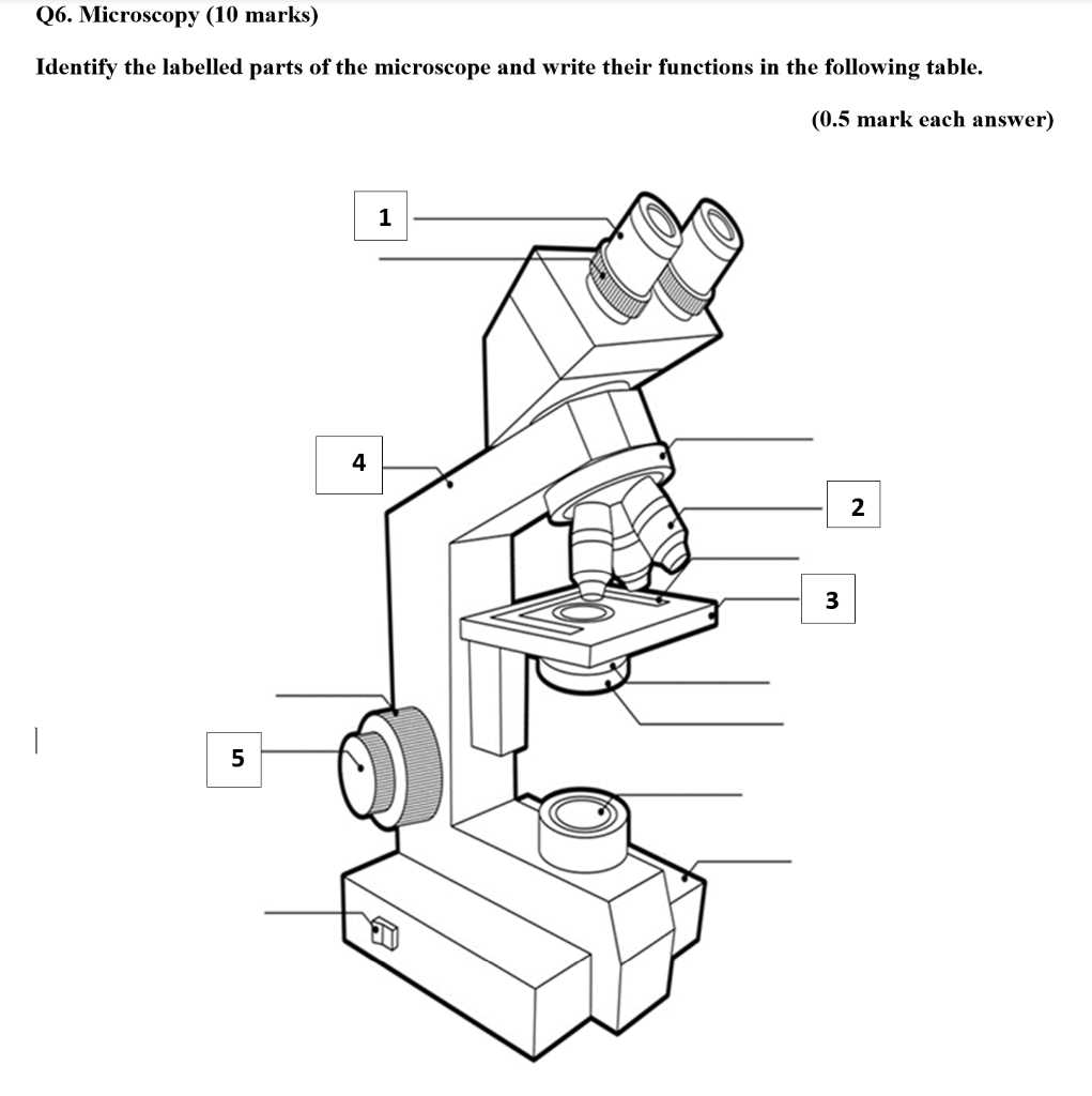 Solved Q6. Microscopy (10 marks) Identify the labelled parts | Chegg.com