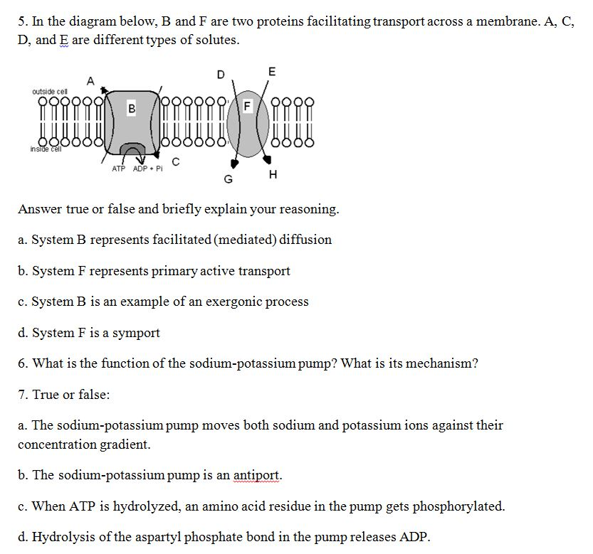 Solved 5. In The Diagram Below, B And F Are Two Proteins | Chegg.com