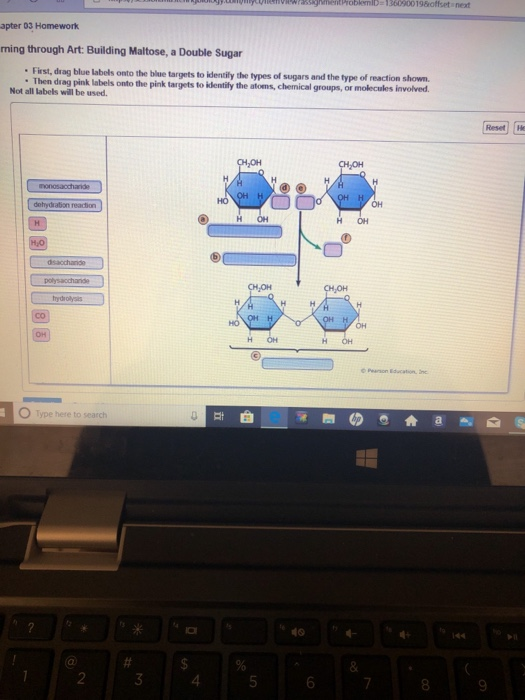 Solved eVW/akskghmentProblemID 1360900198offset next apter | Chegg.com