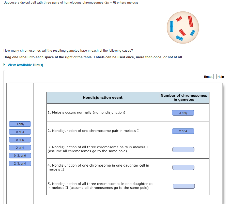 solved-suppose-a-diploid-cell-with-three-pairs-of-homologous-chegg